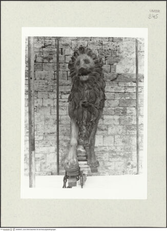 Vorderseite von bh484631_recto