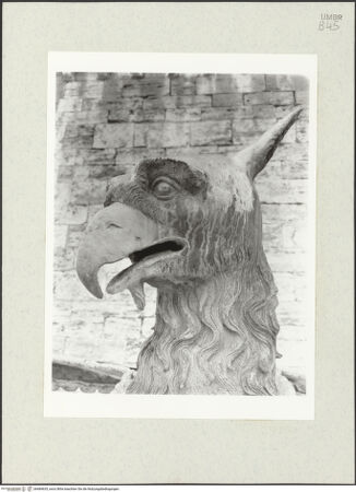 Vorderseite von bh484635_recto