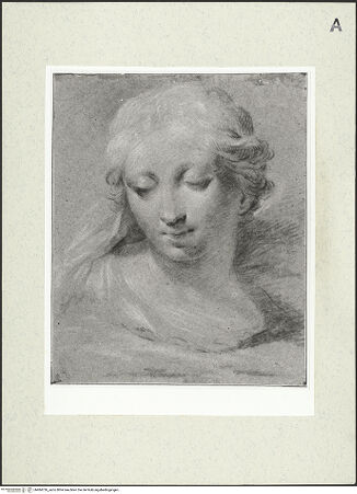 Vorderseite von bh484726_recto