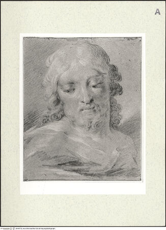 Vorderseite von bh484742_recto