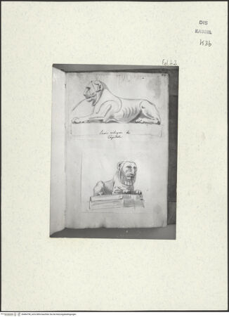Vorderseite von Staatliche Kunstsammlungen, Schloss Wilhelmshöhe [https://www.deutsche-digitale-bibliothek.de/content/lizenzen/rv-ez/] Skizzenbuch der römischen ReiseFol. 42: Antike Löwenfigur auf dem Kapitol - , bh484798_recto. Foto.