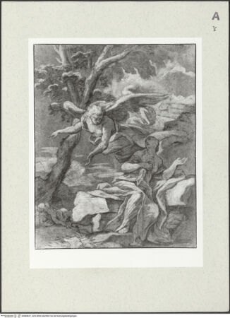 Vorderseite von bh484837_recto