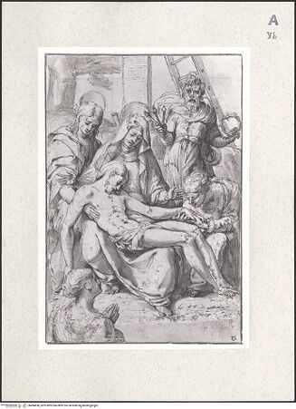 Vorderseite von bh484838_recto