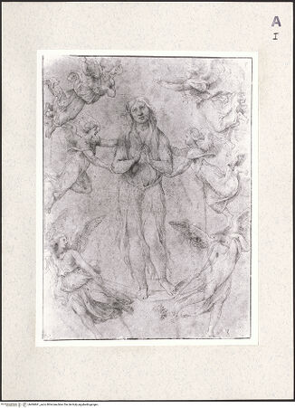 Vorderseite von bh484841_recto