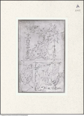 Vorderseite von bh484930_recto