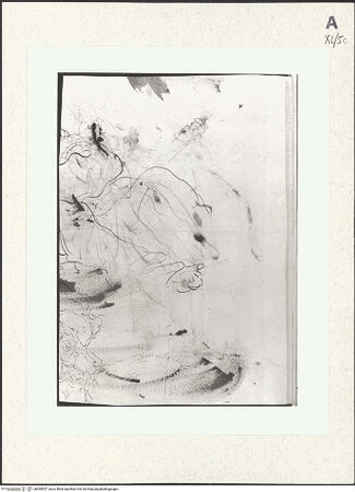 Vorderseite von bh485057_recto