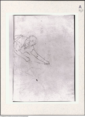 Vorderseite von bh485065_recto