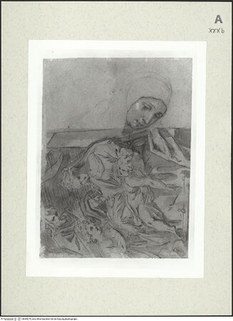 Vorderseite von bh485274_recto