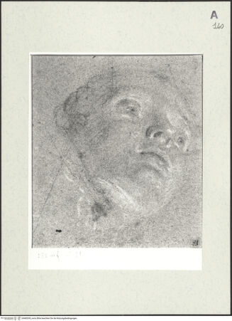 Vorderseite von bh485395_recto