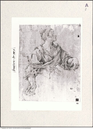 Vorderseite von bh485397_recto