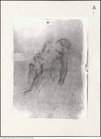 Vorderseite von bh485398_recto