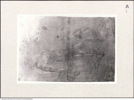 Vorderseite von bh485399_recto