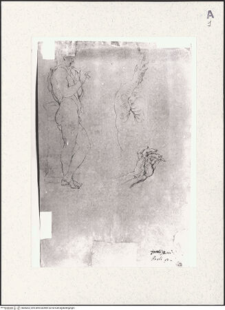 Vorderseite von bh485403_recto