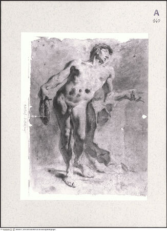 Vorderseite von bh485411_recto