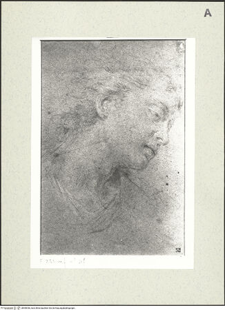 Vorderseite von bh485436_recto