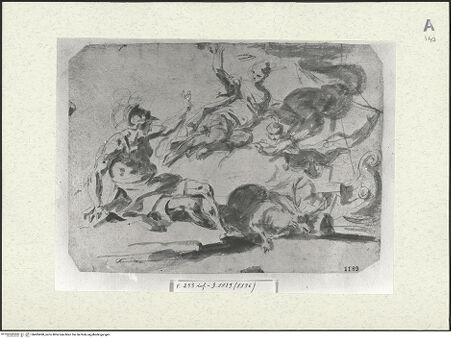 Vorderseite von bh485490_recto