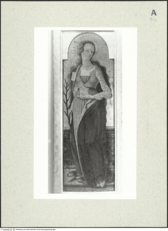 Vorderseite von Sigismondi, Roberto [https://www.deutsche-digitale-bibliothek.de/content/lizenzen/rv-fz/] Heilige Maria Magdalena - , bh485526_recto. Foto: Sigismondi, Roberto.