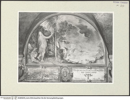 Vorderseite von Sopr. BAS ROMA [https://www.deutsche-digitale-bibliothek.de/content/lizenzen/rv-ez/] Lünetten mit Szenen aus dem Leben des heiligen OnuphriusDer heilige Onuphrius ernährt sich in der Einöde 30 Jahre lang von den Datteln einer Palme - Gesamtansicht, bh485695_recto. Foto.