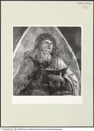 Vorderseite von Sopr. BAS ROMA [https://www.deutsche-digitale-bibliothek.de/content/lizenzen/rv-ez/] Szenen aus dem Leben des heiligen Bernhardin von SienaGewölbekappe: Der Evangelist Matthäus - Detail, nach der Restaurierung, bh485735_recto. Foto.