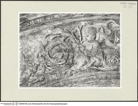 Vorderseite von Sopr. BAS ROMA [https://www.deutsche-digitale-bibliothek.de/content/lizenzen/rv-ez/] Szenen aus dem Leben des heiligen Bernhardin von SienaAkanthusranken mit Putti - Detail: Putto, nach der Restaurierung, bh485738_recto. Foto.