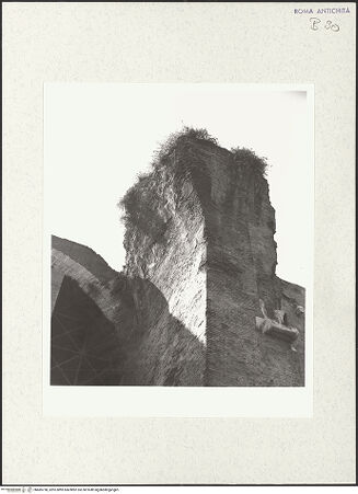 Vorderseite von bh485758_recto