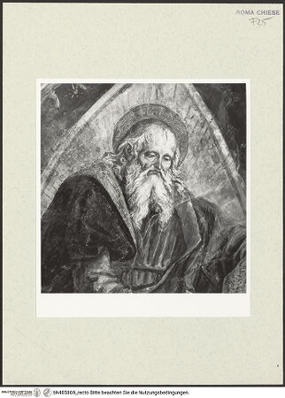 Vorderseite von Sopr. BAS ROMA [https://www.deutsche-digitale-bibliothek.de/content/lizenzen/rv-ez/] Szenen aus dem Leben des heiligen Bernhardin von SienaGewölbekappe: Der Evangelist Johannes - Kopfdetail, nach der Restaurierung, bh485869_recto. Foto.