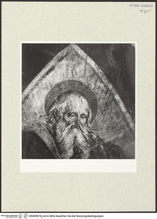 Vorderseite von Sopr. BAS ROMA [https://www.deutsche-digitale-bibliothek.de/content/lizenzen/rv-ez/] Szenen aus dem Leben des heiligen Bernhardin von SienaGewölbekappe: Der Evangelist Matthäus - Kopfdetail, nach der Restaurierung, bh485874_recto. Foto.