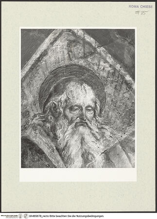 Vorderseite von Sopr. BAS ROMA [https://www.deutsche-digitale-bibliothek.de/content/lizenzen/rv-ez/] Szenen aus dem Leben des heiligen Bernhardin von SienaGewölbekappe: Der Evangelist Johannes - Kopfdetail, vor der Restaurierung, bh485878_recto. Foto.