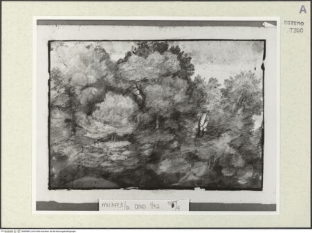 Vorderseite von bh485895_recto