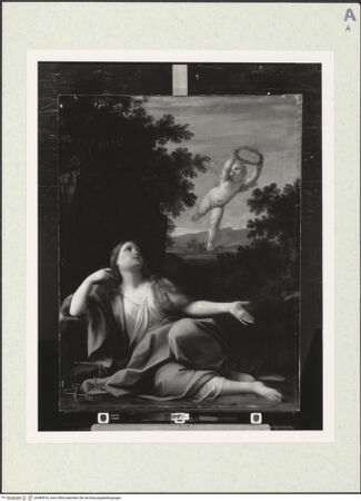 Vorderseite von bh485916_recto