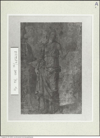 Vorderseite von bh485921_recto