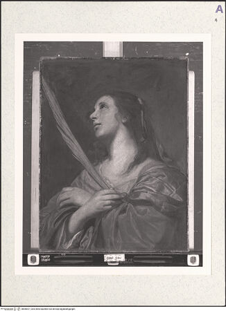 Vorderseite von bh485927_recto