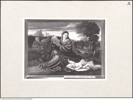 Vorderseite von bh485983_recto