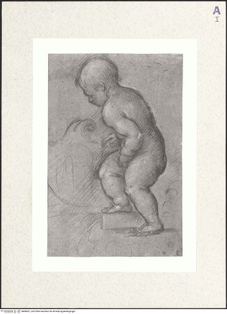 Vorderseite von bh486031_recto