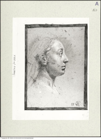 Vorderseite von bh486093_recto