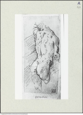 Vorderseite von bh486099_recto