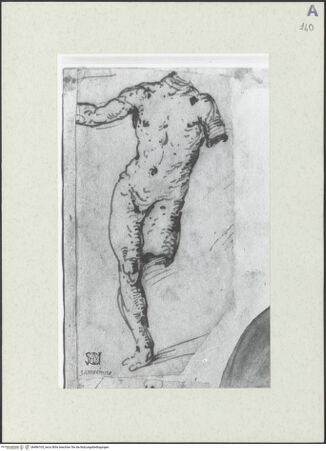 Vorderseite von bh486105_recto