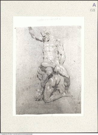 Vorderseite von bh486117_recto