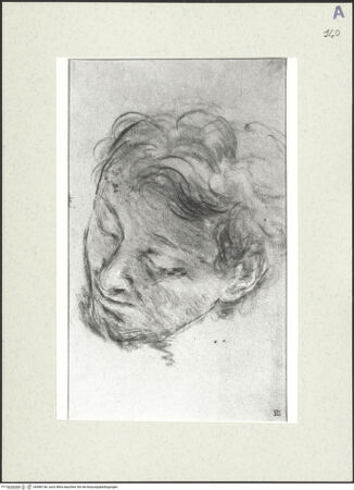 Vorderseite von bh486146_recto