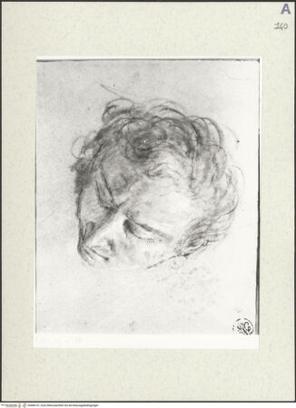 Vorderseite von bh486147_recto