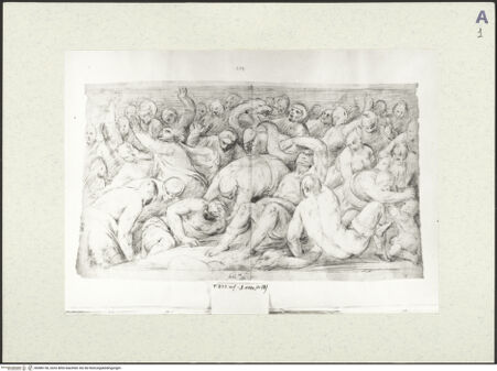 Vorderseite von bh486156_recto