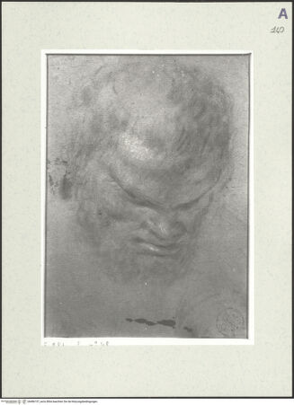 Vorderseite von bh486157_recto