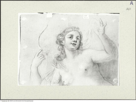 Vorderseite von bh486165_recto