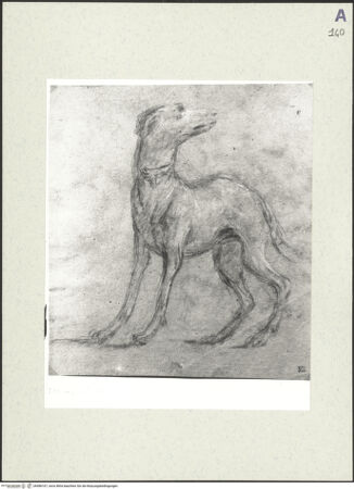 Vorderseite von bh486167_recto