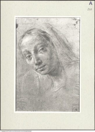 Vorderseite von bh486169_recto