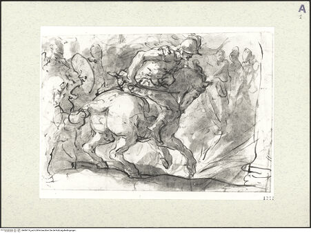 Vorderseite von bh486176_recto