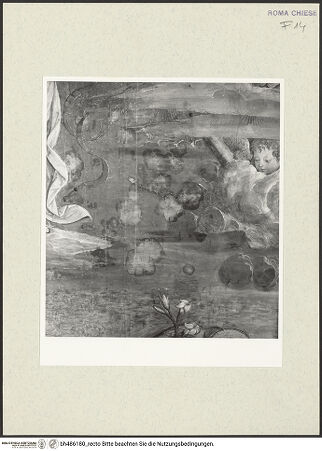 Vorderseite von Sopr. BAS ROMA [https://www.deutsche-digitale-bibliothek.de/content/lizenzen/rv-ez/] Szenen aus dem Leben des heiligen Bernhardin von SienaChristus in der Mandorla und die Heiligen Berhardin, Antonius von Padua und Ludwig von Toulouse - rechts der Mandorla, Detail: Putto in Wolken, nach der Restaurierung, bh486180_recto. Foto.