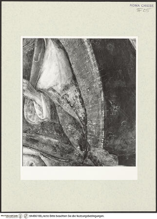 Vorderseite von Sopr. BAS ROMA [https://www.deutsche-digitale-bibliothek.de/content/lizenzen/rv-ez/] Szenen aus dem Leben des heiligen Bernhardin von SienaGewölbekappe: Der Evangelist Markus - Detail: linker Arm des Heiligen, nach der Restaurierung, bh486188_recto. Foto.