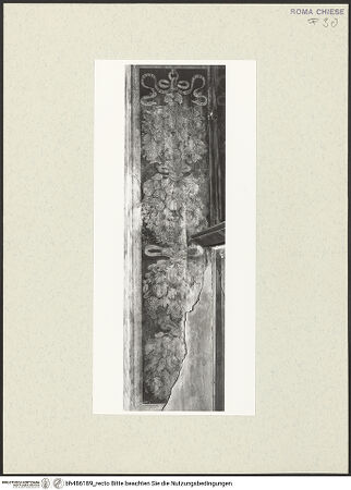 Vorderseite von Sopr. BAS ROMA [https://www.deutsche-digitale-bibliothek.de/content/lizenzen/rv-ez/] Szenen aus dem Leben des heiligen Bernhardin von Siena - Pilaster mit Fruchtgirlande, nach der Restaurierung, bh486189_recto. Foto.