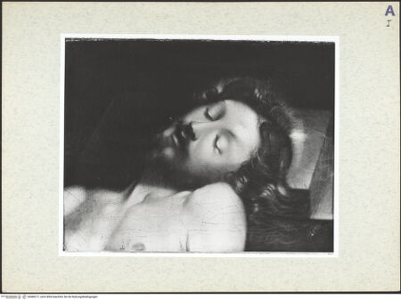 Vorderseite von bh486217_recto